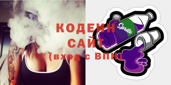 индика Лихославль