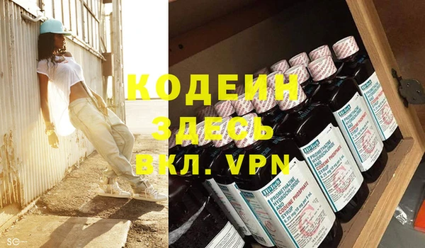индика Лихославль