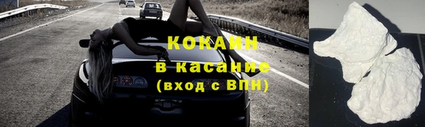 индика Лихославль