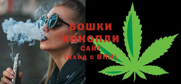 индика Лихославль
