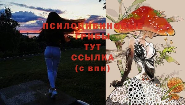 СК Лиски