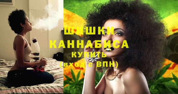 индика Лихославль