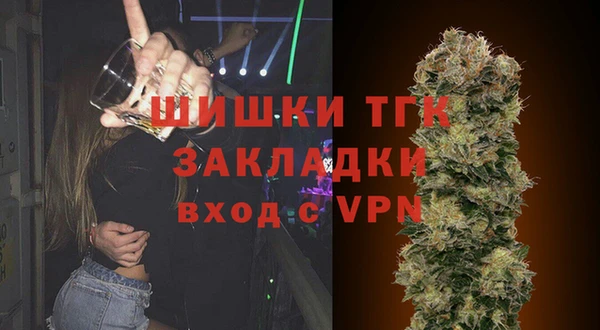 индика Лихославль