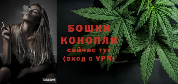 индика Лихославль