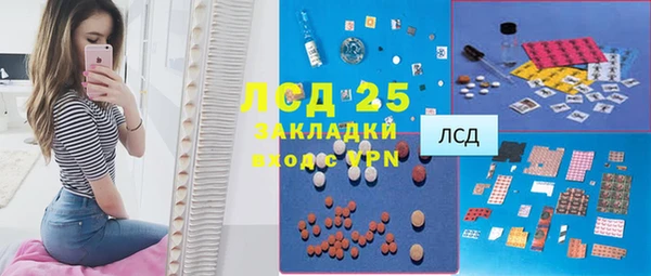 индика Лихославль