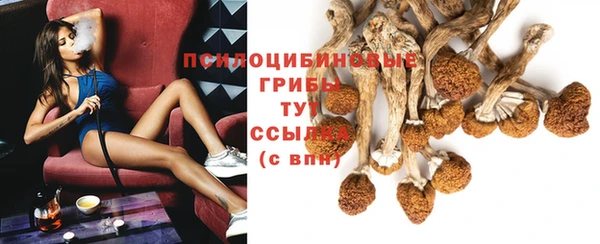 СК Лиски