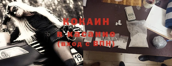 индика Лихославль