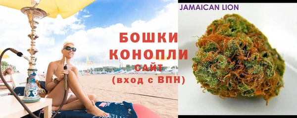 индика Лихославль
